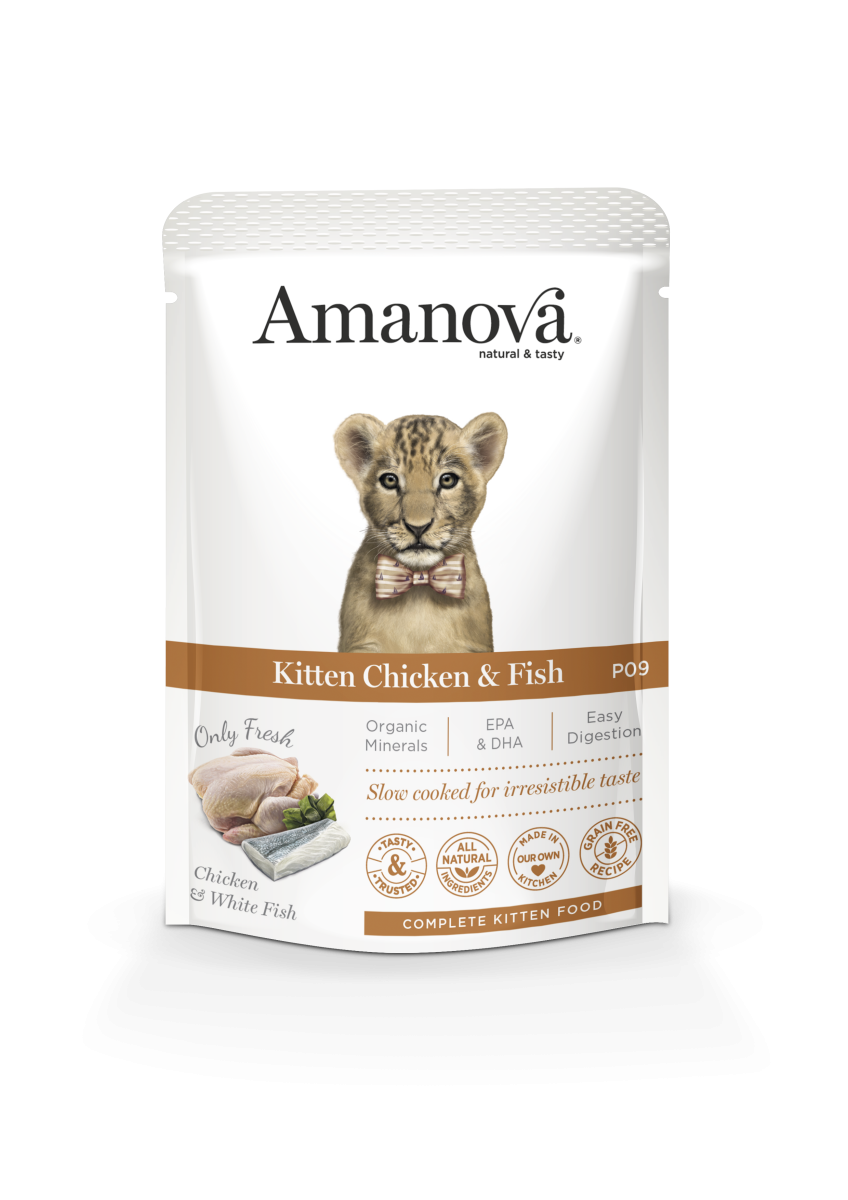 AM KITTEN CHICKEN & FISH 85G P09